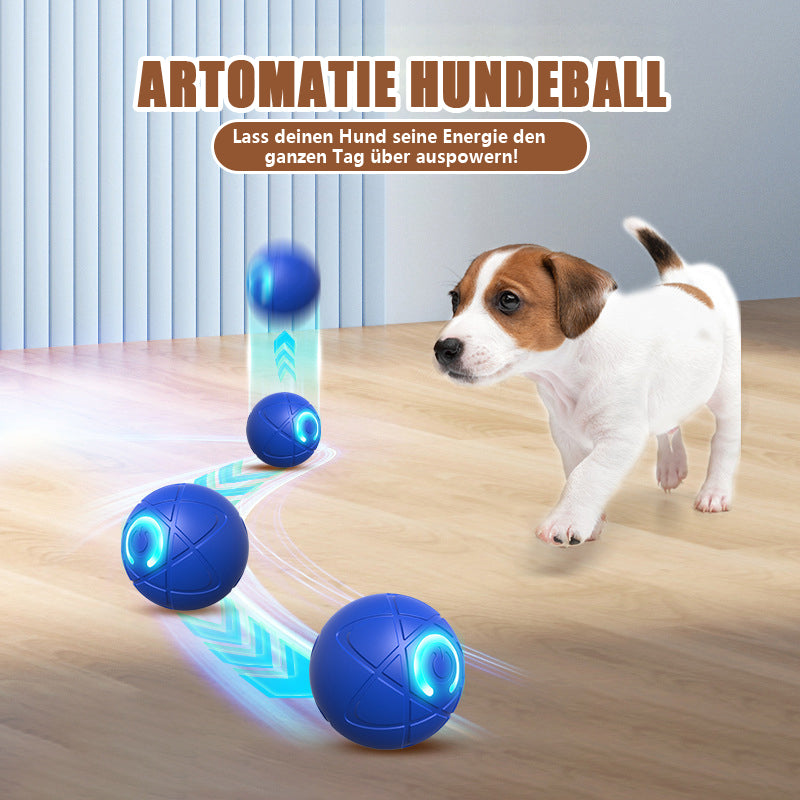 ✨2025 Neuerscheinung – 50 % Rabatt – Springball für Katzen 🐱 & Hunde 🐶