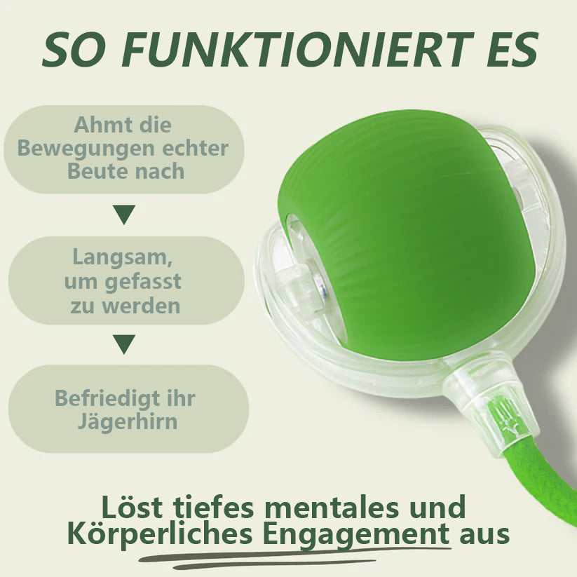 🔥 Letzter Tag: 49 % RABATT 🐾 Smarter, selbstrotierender interaktiver Haustierball