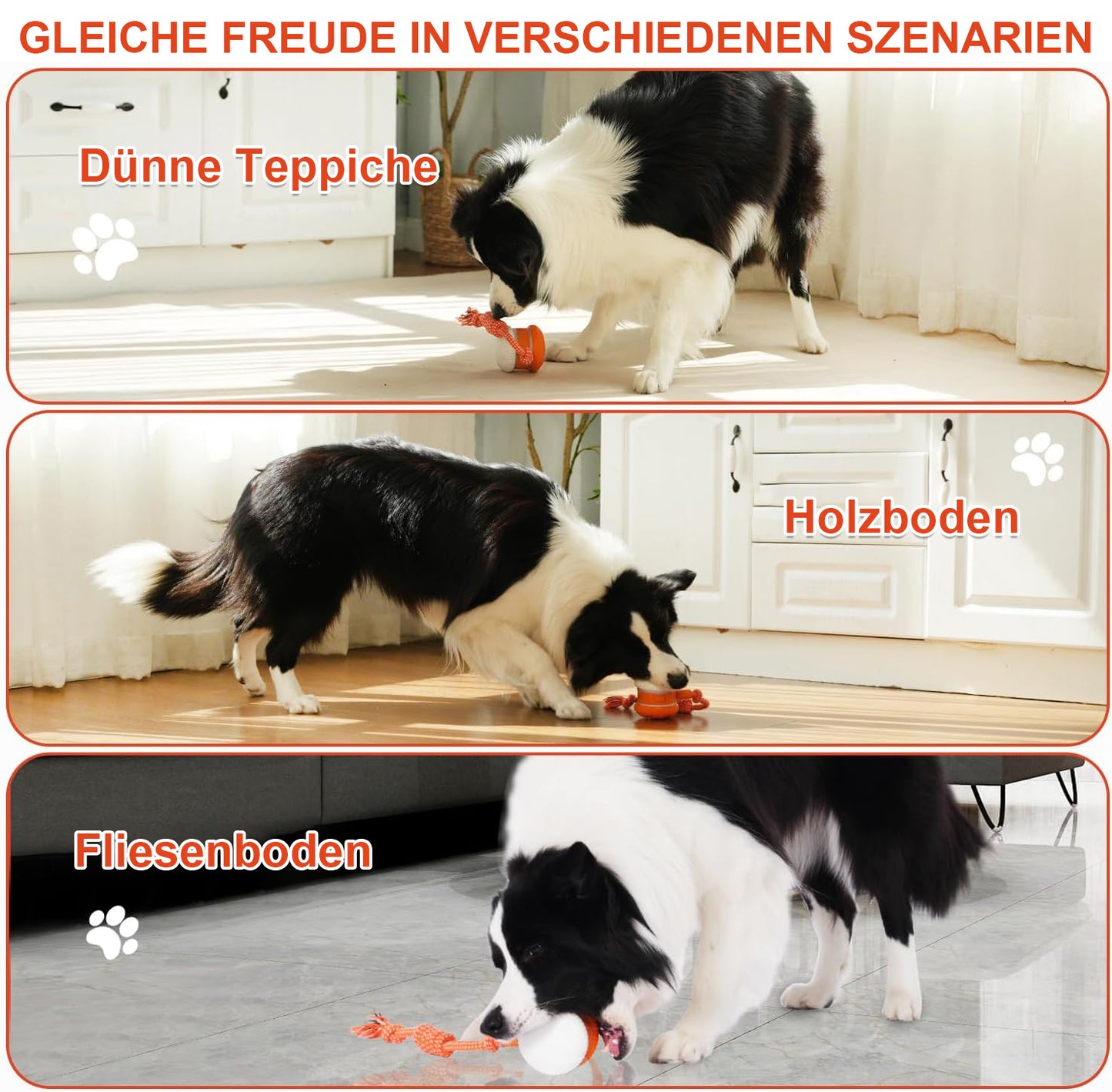 🐶 Der YOBENSUN™ – Für einen entspannten, glücklichen und zufriedenen Vierbeiner 🐾