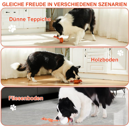 🐶 Der YOBENSUN™ – Für einen entspannten, glücklichen und zufriedenen Vierbeiner 🐾