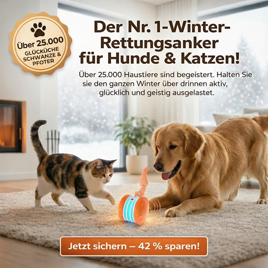 🐶 Der YOBENSUN™ – Für einen entspannten, glücklichen und zufriedenen Vierbeiner 🐾