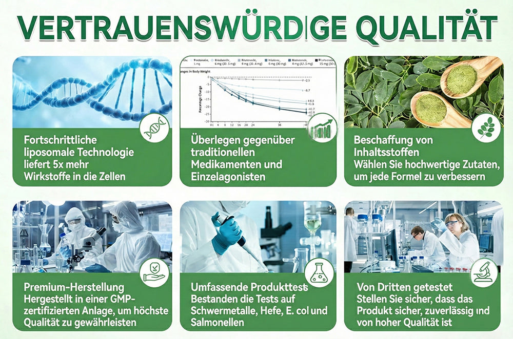Offizieller Shop 🇩🇪 | LBMLBM™ Moringa-Berberin × NAD+ 10-in-1 Nano-Mikronadel-Pflaster – Tägliche, sichtbare Ergebnisse in 7 Tagen ✅ Für Gewichtskontrolle, Hautgesundheit, Diabetes und Gelenkgesundheit