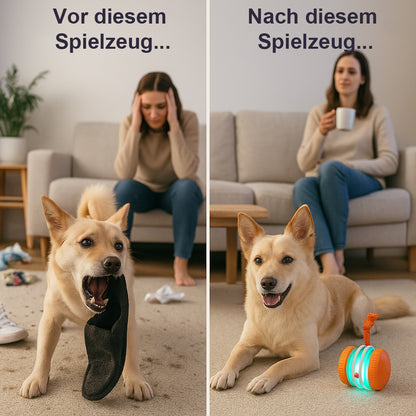 🐶 Der YOBENSUN™ – Für einen entspannten, glücklichen und zufriedenen Vierbeiner 🐾