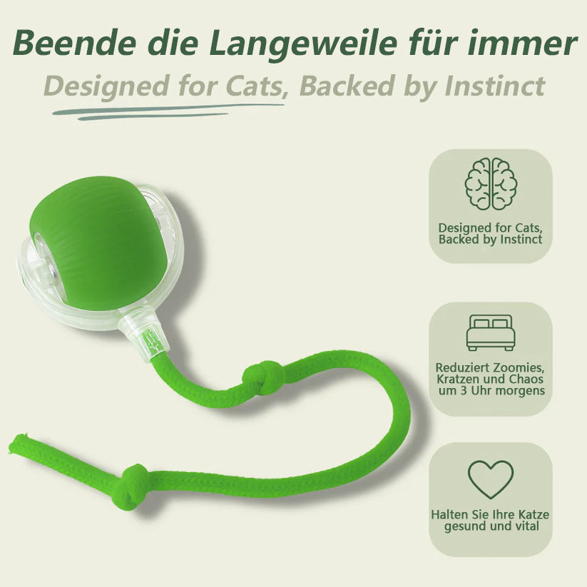 🔥 Letzter Tag: 49 % RABATT 🐾 Smarter, selbstrotierender interaktiver Haustierball