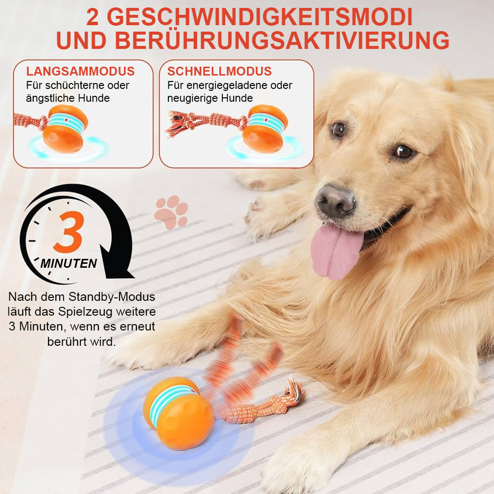🐶 Der YOBENSUN™ – Für einen entspannten, glücklichen und zufriedenen Vierbeiner 🐾