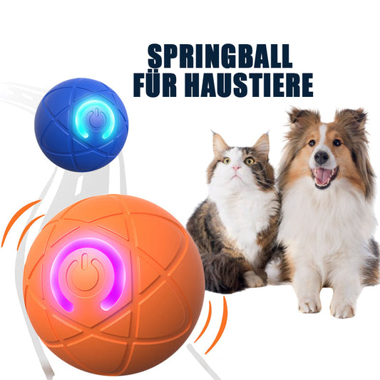 ✨2025 Neuerscheinung – 50 % Rabatt – Springball für Katzen 🐱 & Hunde 🐶