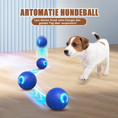 ✨2025 Neuerscheinung – 50 % Rabatt – Springball für Katzen 🐱 & Hunde 🐶