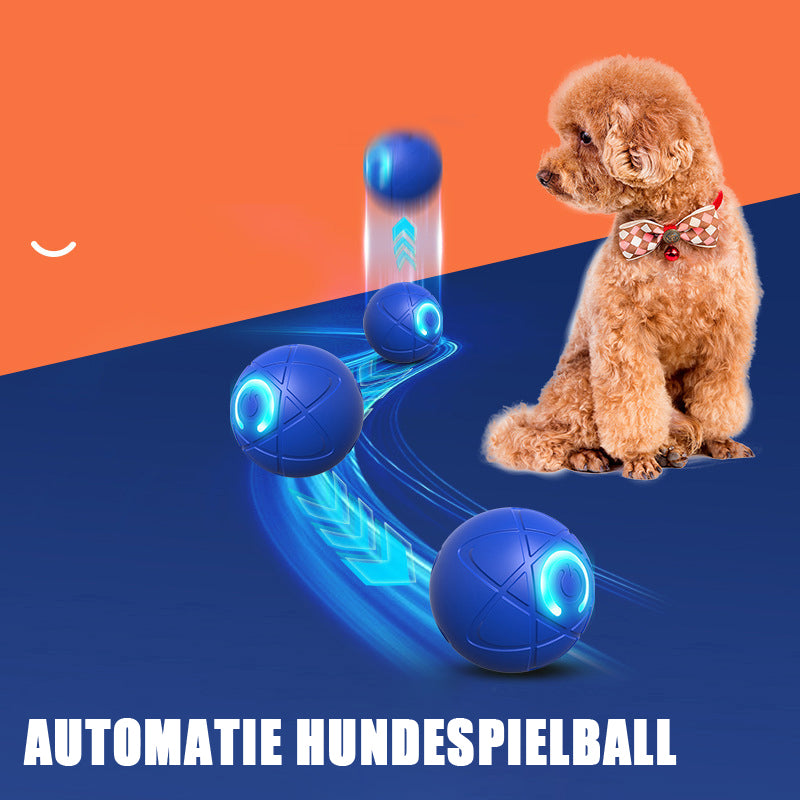 ✨2025 Neuerscheinung – 50 % Rabatt – Springball für Katzen 🐱 & Hunde 🐶