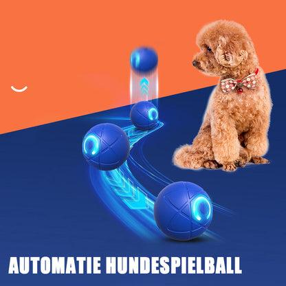 ✨2025 Neuerscheinung – 50 % Rabatt – Springball für Katzen 🐱 & Hunde 🐶