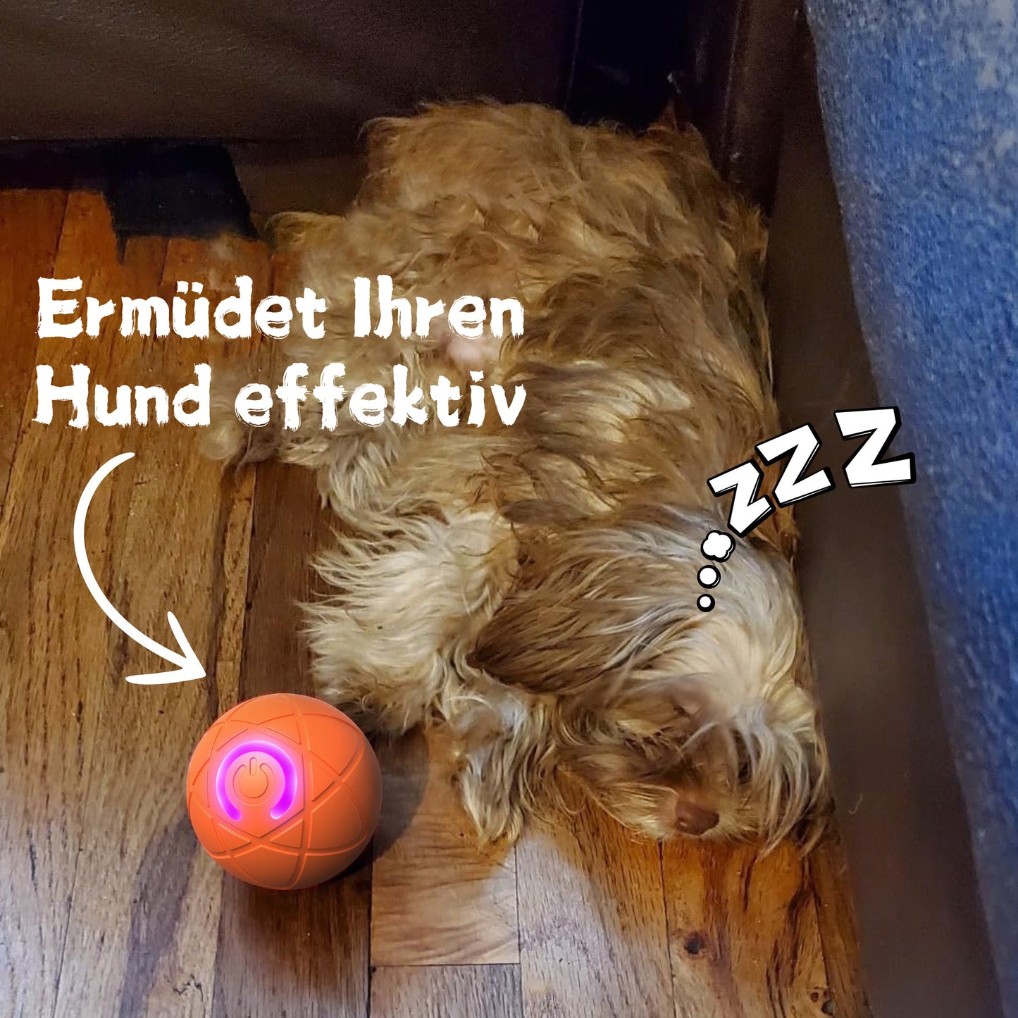 ✨2025 Neuerscheinung – 50 % Rabatt – Springball für Katzen 🐱 & Hunde 🐶