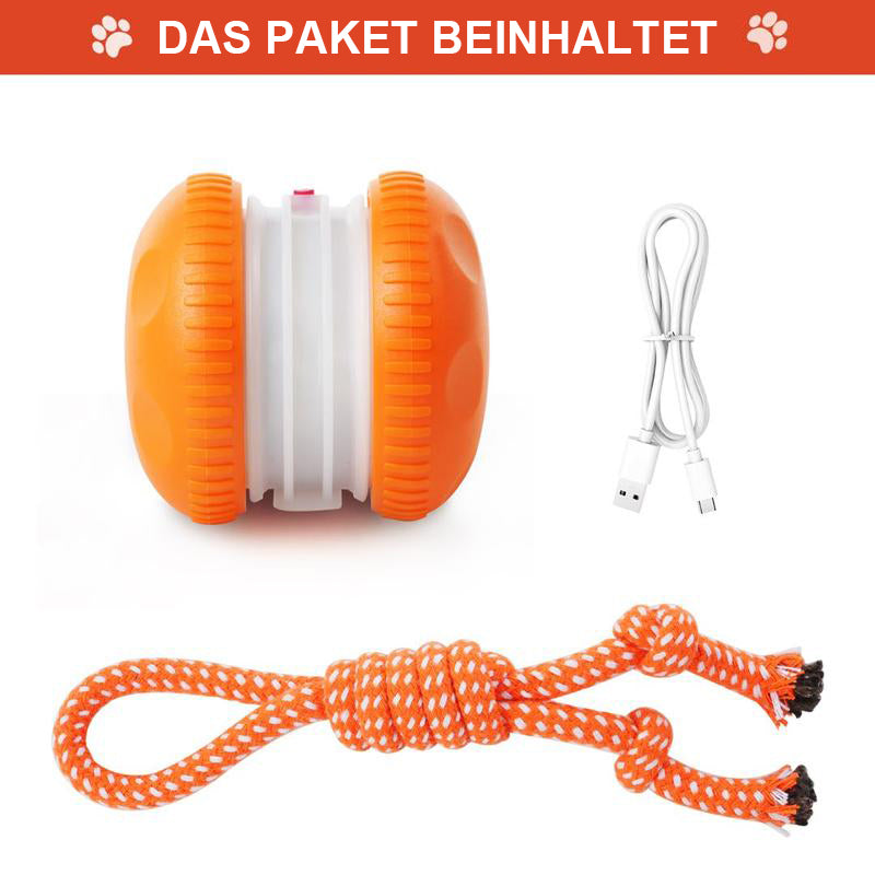 🐶 Der YOBENSUN™ – Für einen entspannten, glücklichen und zufriedenen Vierbeiner 🐾