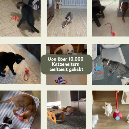 🔥 Letzter Tag: 49 % RABATT 🐾 Smarter, selbstrotierender interaktiver Haustierball