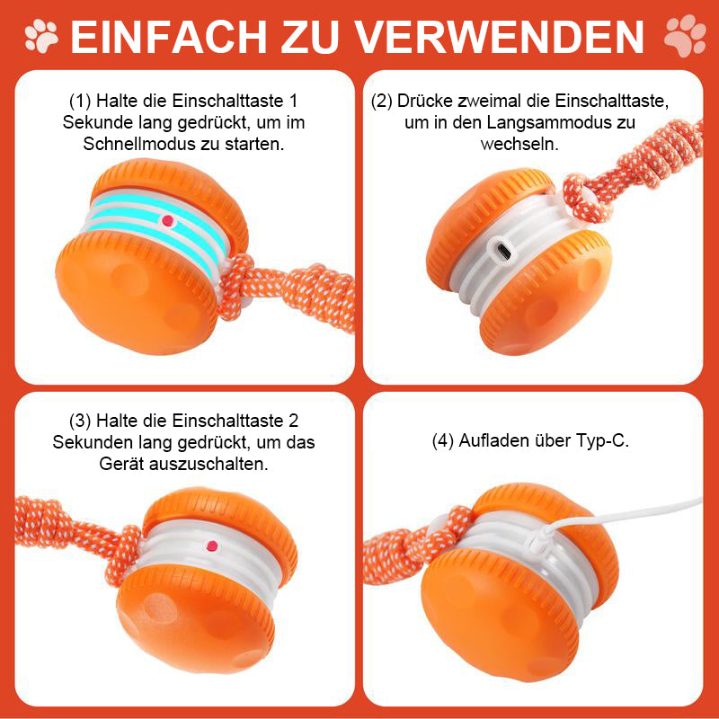 🐶 Der YOBENSUN™ – Für einen entspannten, glücklichen und zufriedenen Vierbeiner 🐾