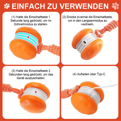 🐶 Der YOBENSUN™ – Für einen entspannten, glücklichen und zufriedenen Vierbeiner 🐾