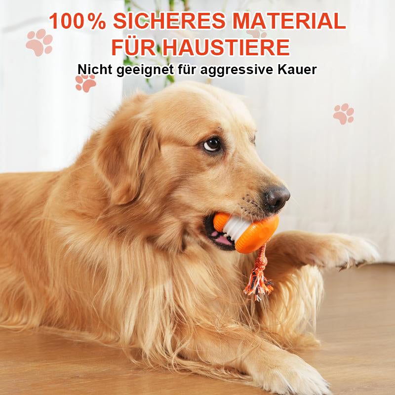 🐶 Der YOBENSUN™ – Für einen entspannten, glücklichen und zufriedenen Vierbeiner 🐾