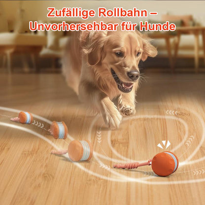 🐶 Der YOBENSUN™ – Für einen entspannten, glücklichen und zufriedenen Vierbeiner 🐾