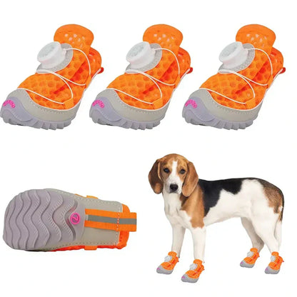 🔥Die #1 Hundeschuhe 2026 — neue, bequeme Pfotenschuhe jetzt 40 % RABATT!