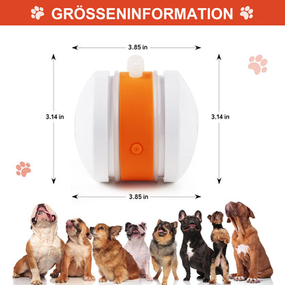 🐶 Der YOBENSUN™ – Für einen entspannten, glücklichen und zufriedenen Vierbeiner 🐾
