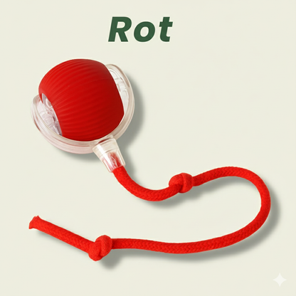 🔥 Letzter Tag: 49 % RABATT 🐾 Smarter, selbstrotierender interaktiver Haustierball